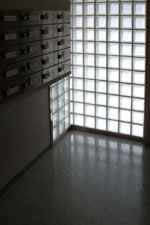 ��T�X�J�C�r���@����